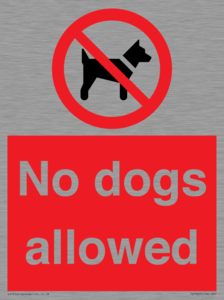 No dogs allowed